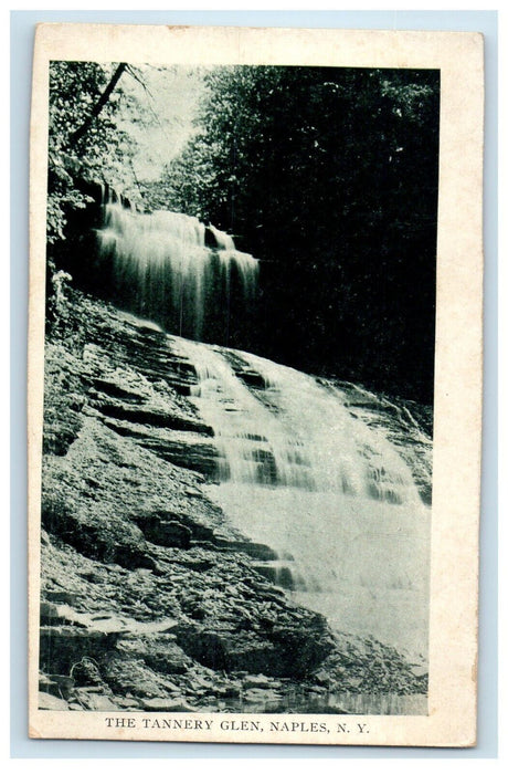1909 The Tannery Glen Waterfalls Naples New York NY Posted Antique Postcard