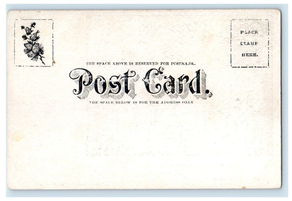 1906 Cook Academy Building Campus Montour Falls New York NY Antique Postcard
