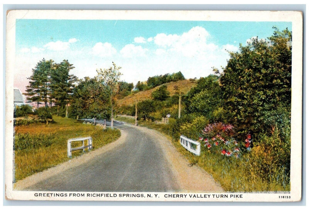 1920 Greetings Richfield Cherry Valley Turn Pike Springs New York NY Postcard