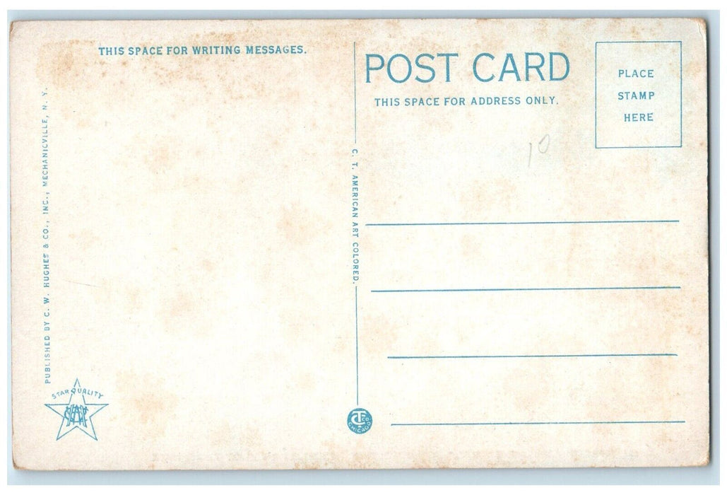 1920 Greetings Richfield Cherry Valley Turn Pike Springs New York NY Postcard