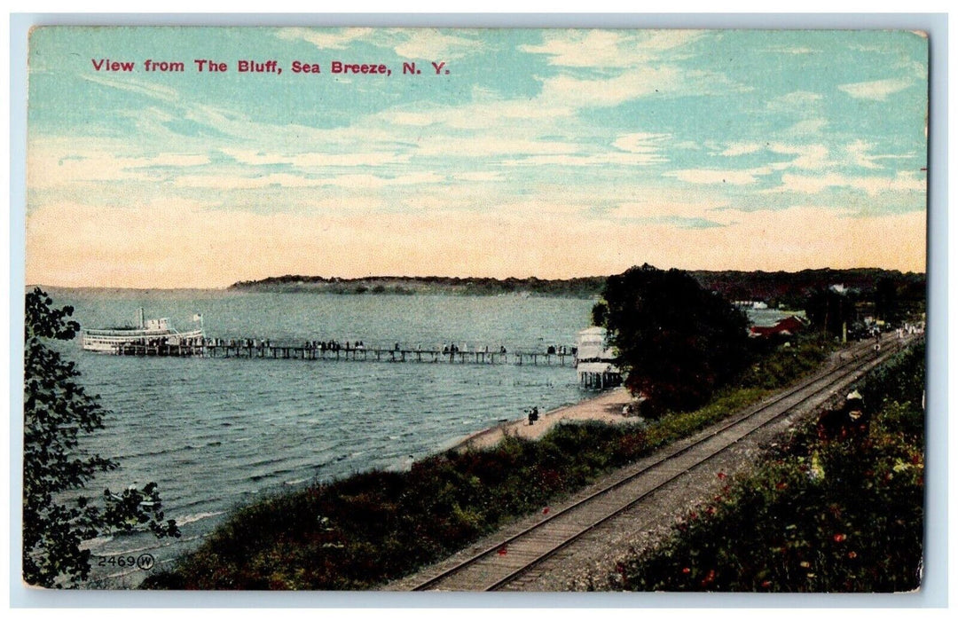 1910 View From The Bluff Sea Breeze Cruise Pier Railroad New York NY Postcard