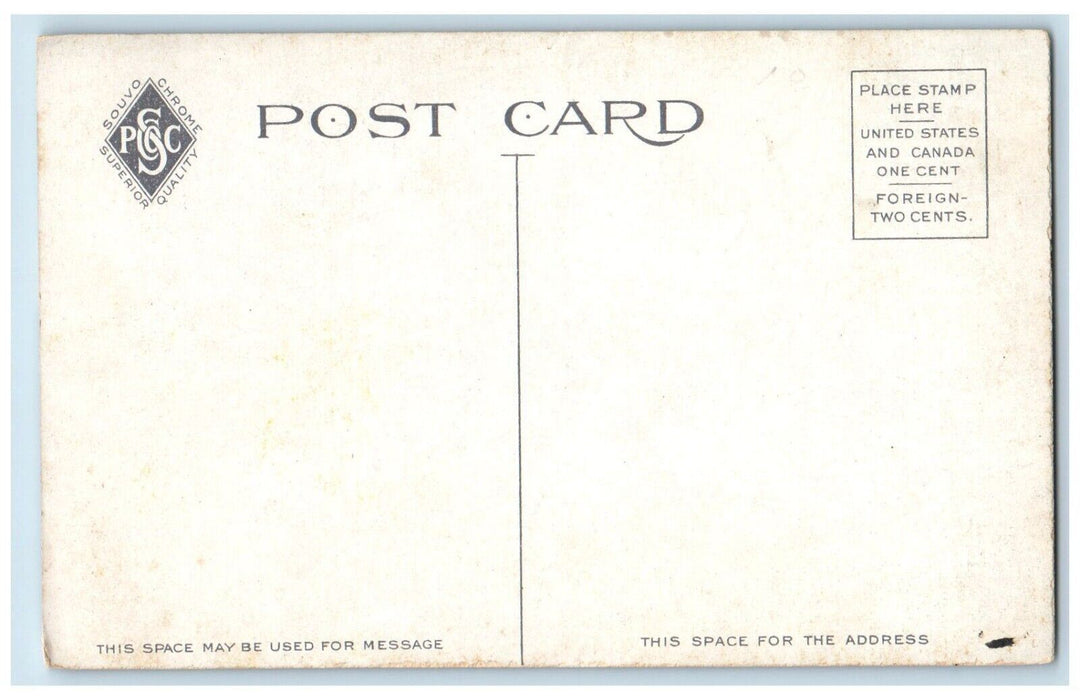 1910 View From The Bluff Sea Breeze Cruise Pier Railroad New York NY Postcard