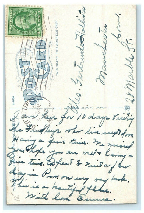 1923 Lake Anthony from Lake Avenue, Oak Bluffs Massachusetts MA Postcard