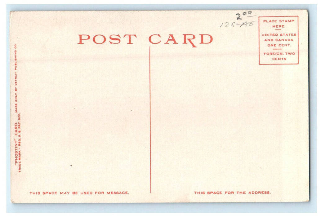 c1910s Trees View, Chestnut Street, Salem Massachusetts MA Postcard