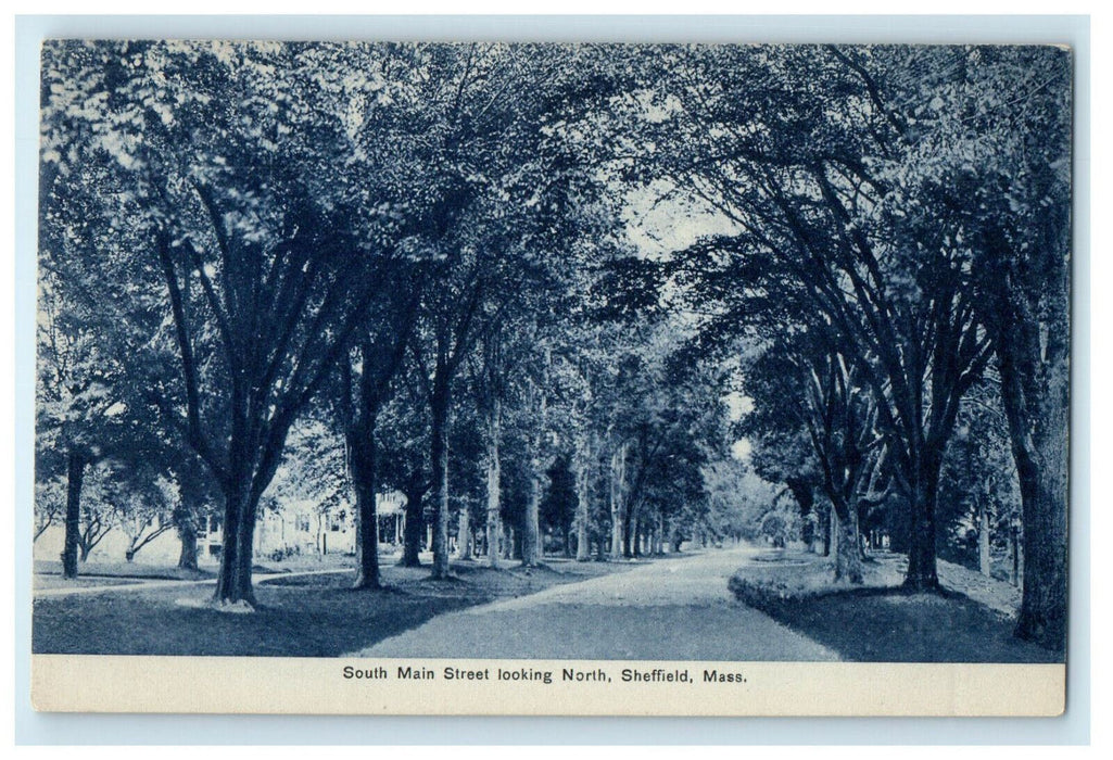 c1910s South Main Street Looking North, Sheffield Massachusetts MA Postcard