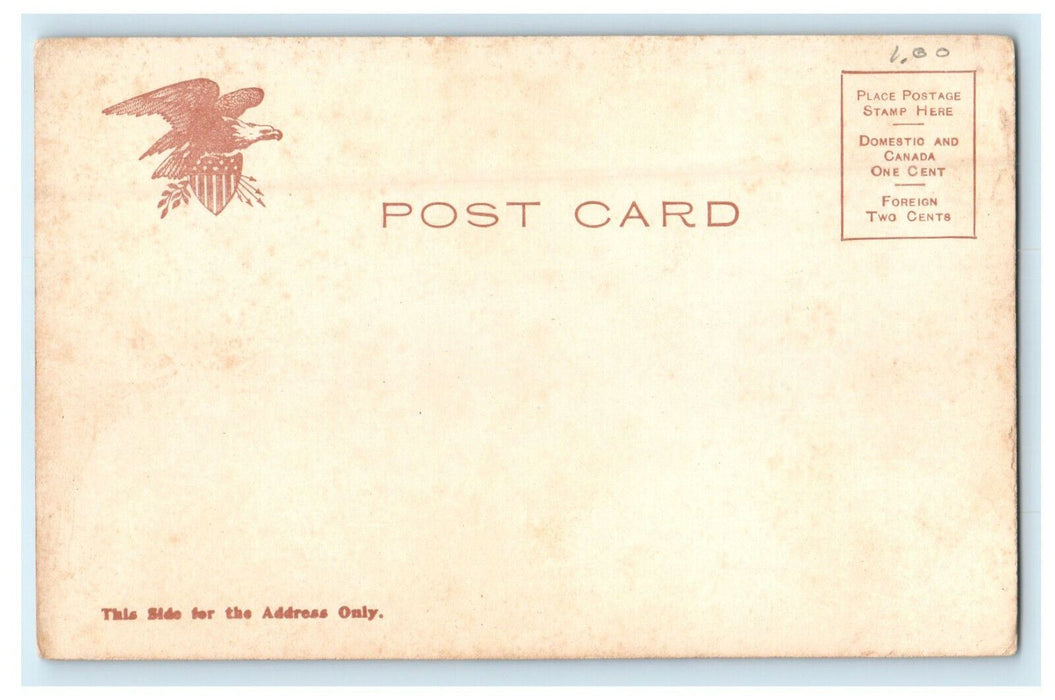c1905s City Hall, Cambridge Massachusetts MA Unposted Postcard