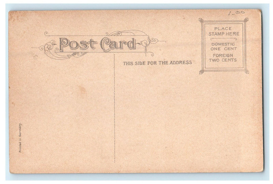 c1910s Hawthorne's Surveyor Here, Salem House, Salem Massachusetts MA Postcard