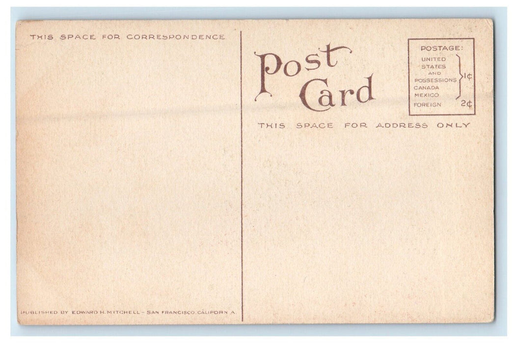 c1910's The Barracks Ft. Boise Botse Idaho ID Unposted Antique Postcard