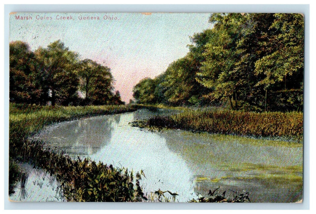 1907 View Of Marsh Coles Creek Geneva Ohio OH Posted Antique Postcard