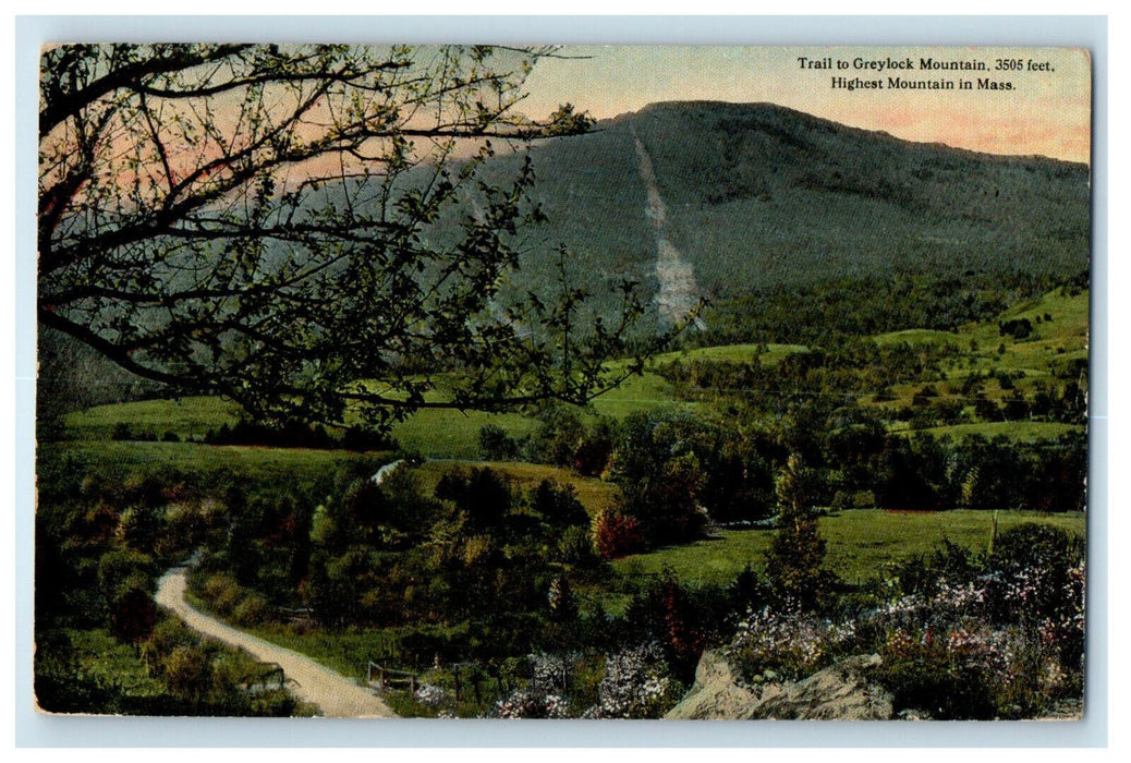 c1910 Trail To Greylock Mountain, Highest in Massachusetts MA Posted Postcard