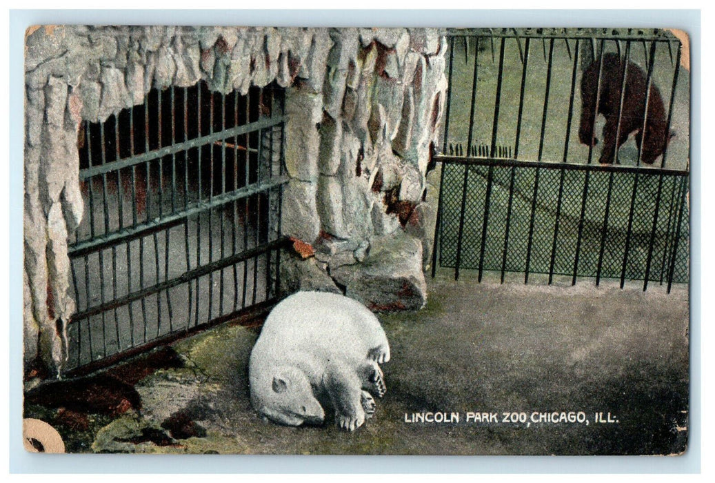 1909 Lincoln Park Zoo Chicago Illinois IL Antique Posted Postcard