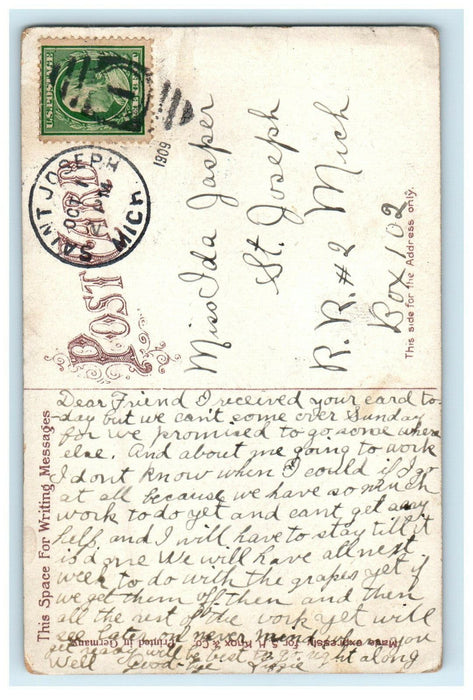 1909 Lincoln Park Zoo Chicago Illinois IL Antique Posted Postcard