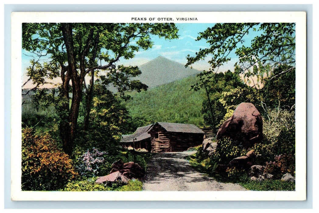 c1930's Dirt Road Cabin Peaks Of Otter Virginia VA Unposted Vintage Postcard