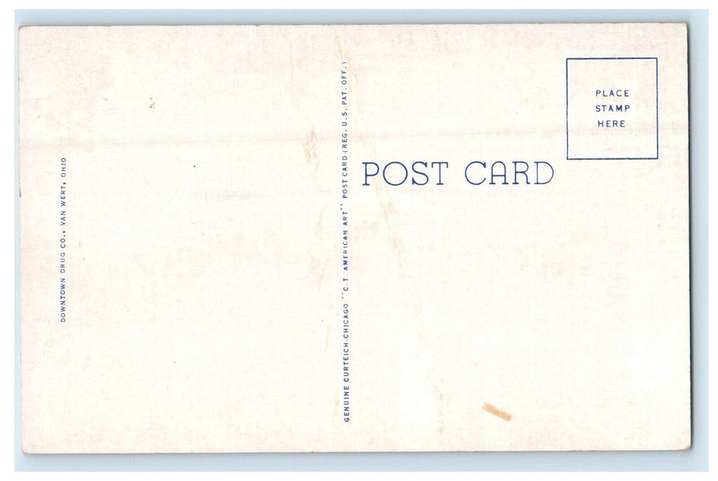 Van Wert Ohio OH, The Brumback Public Library Unposted Vintage Postcard