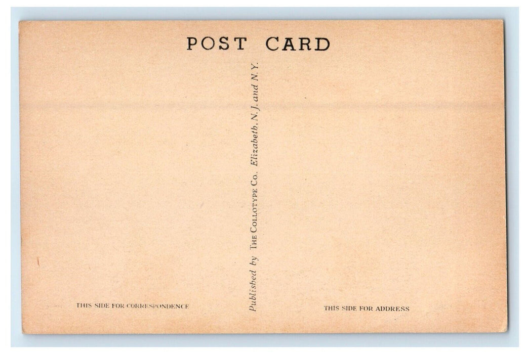 c1940's Scene On The Picturesque Car Mohawk Trail Massachusetts MA Postcard