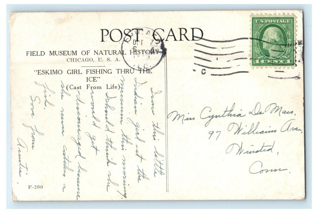 c1920s Field Museum of National History, Chicago Illinois IL Posted Postcard