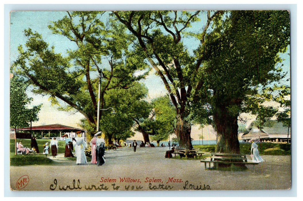 1906 Glencove ME Salem Willows Salem Massachusetts MA Posted Antique Postcard