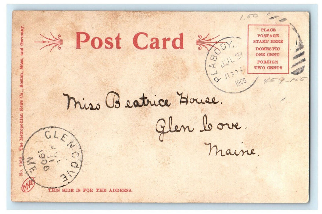 1906 Glencove ME Salem Willows Salem Massachusetts MA Posted Antique Postcard