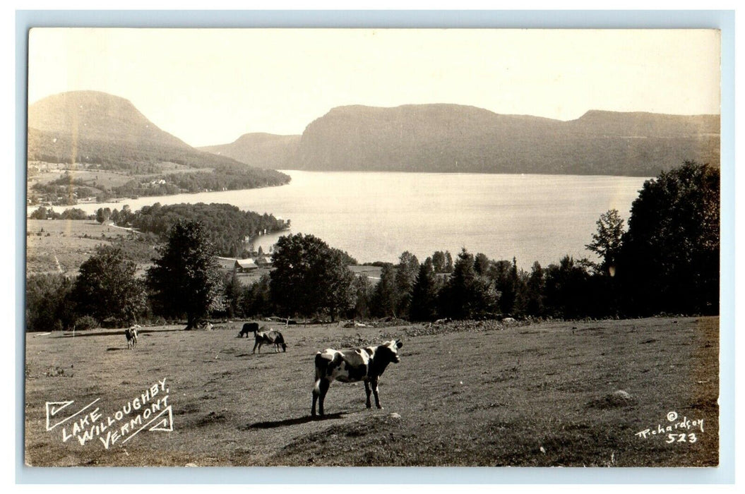 c1910's View Of Lake Willoughby Vermont VT, Cows RPPC Photo Antique Postcard