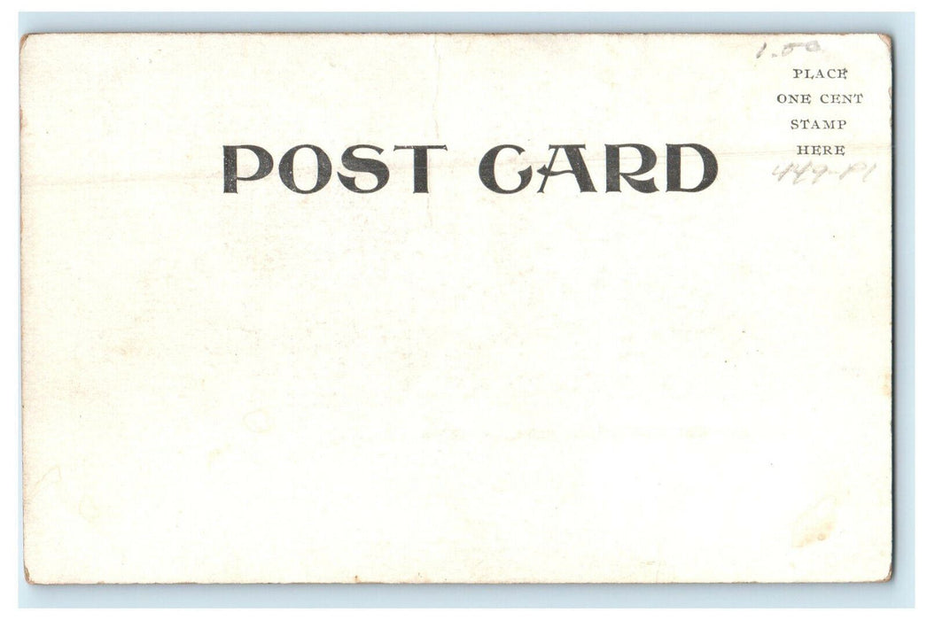 c1905s Old Toll Bridge View, Springfield Massachusetts MA Unposted Postcard