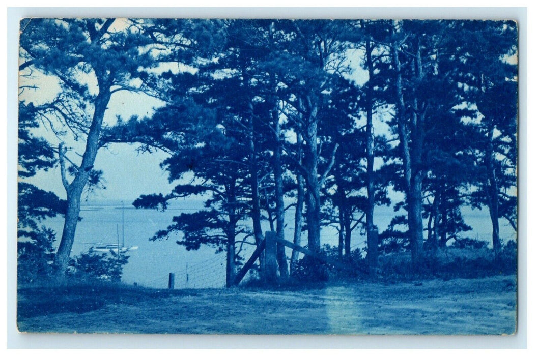 c1910's The Pines Sea Boat Cotuit Massachusetts MA RPPC Photo Antique Postcard