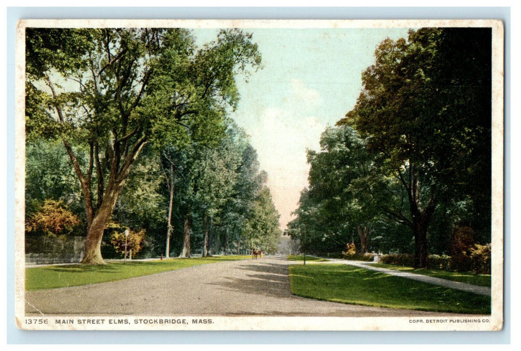 c1910s Main Street Elms, Stockbridge Massachusetts MA Phostint Postcard