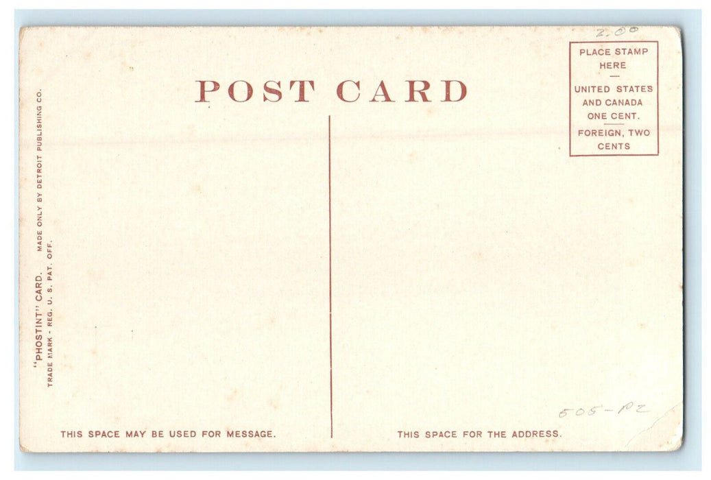 c1910s Main Street Elms, Stockbridge Massachusetts MA Phostint Postcard