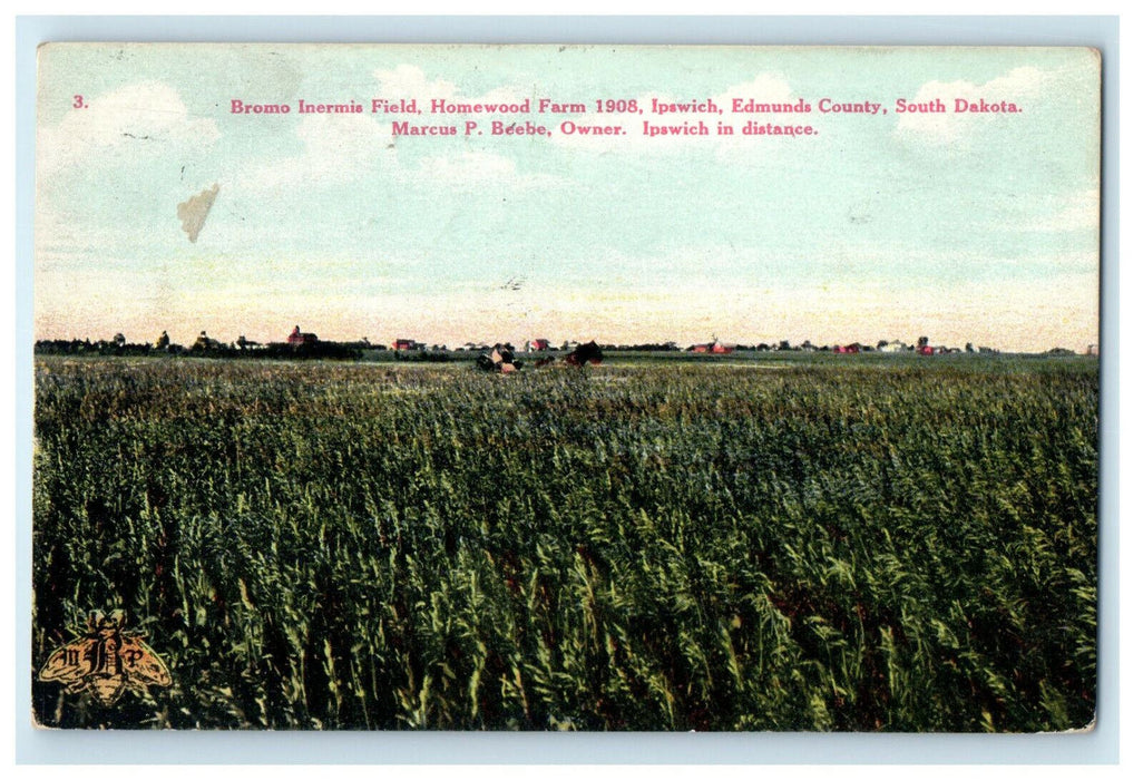 1908 Woonsocket RI Bromo Inermis Field Homewood Farm South Dakota SD Postcard