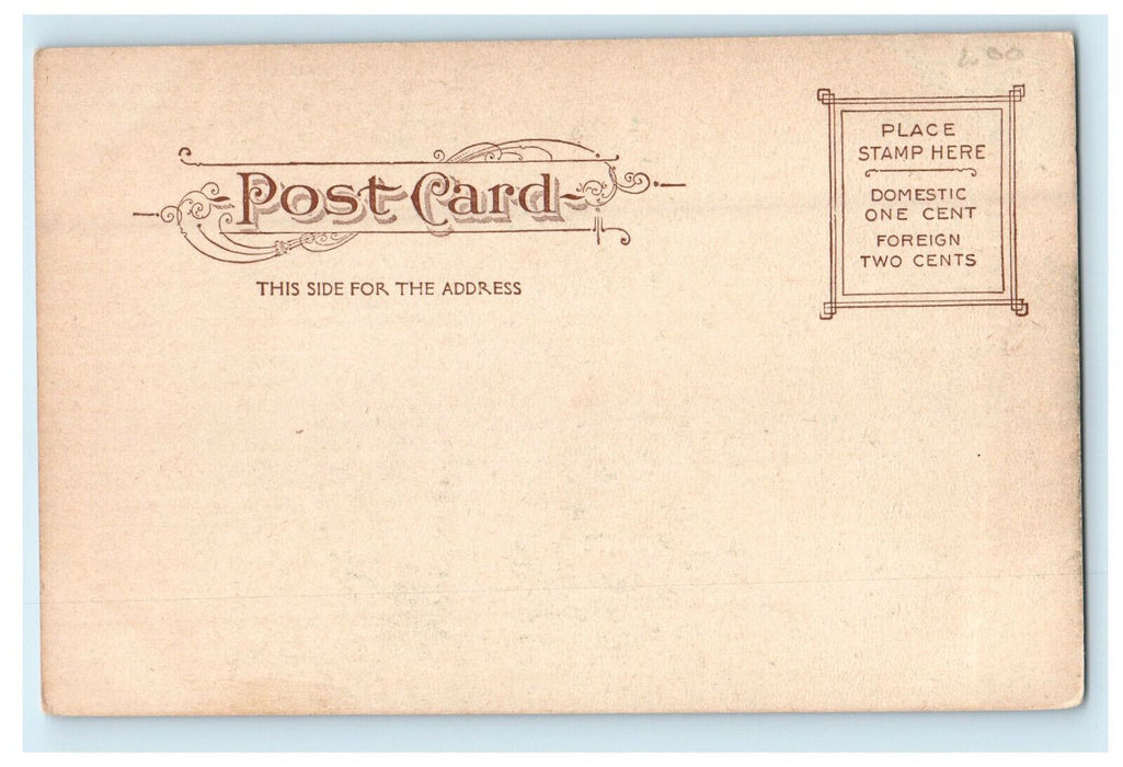 c1905s Laurel Hill Forest Park Springfield, Massachusetts MA Postcard