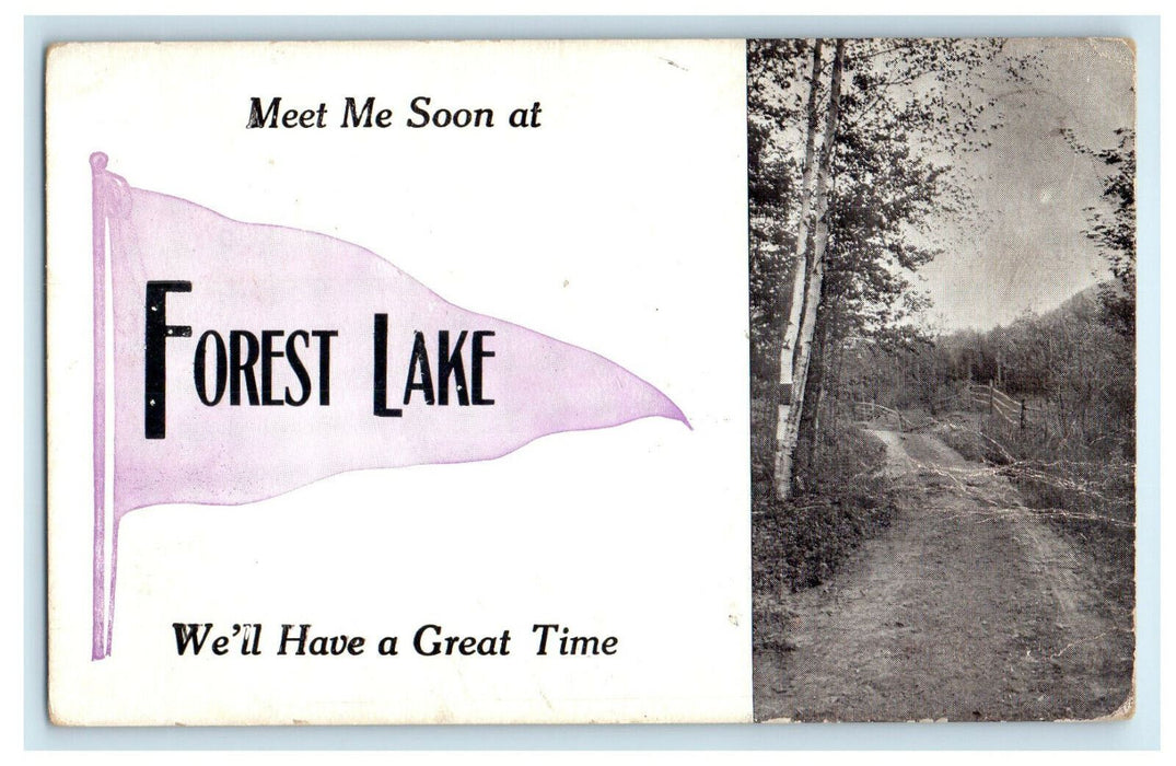 1915 Campbellsport WI Forest Lake Purple Pennant Minnesota MN Posted Postcard