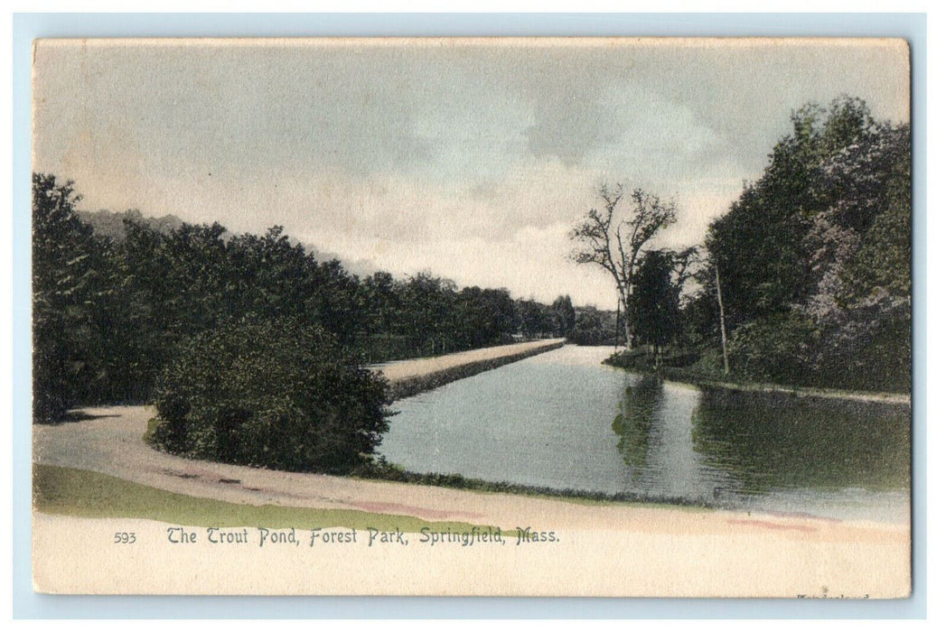 c1905s The Trout Pond Forest Park, Springfield, Massachusetts MA Postcard