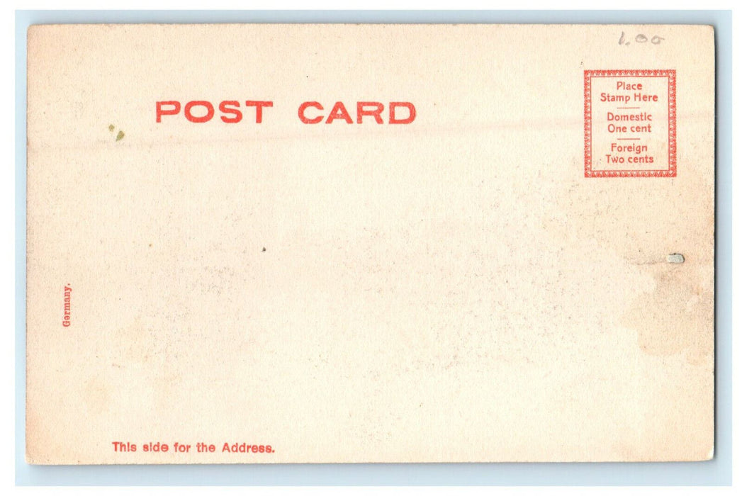 c1905s The Trout Pond Forest Park, Springfield, Massachusetts MA Postcard