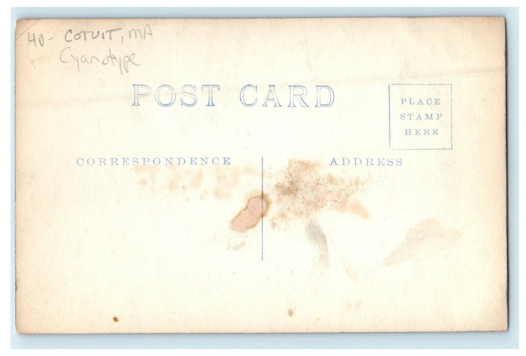 c1910's Scene Beach View Cyanotype Cotuit Massachusetts MA RPPC Photo Postcard