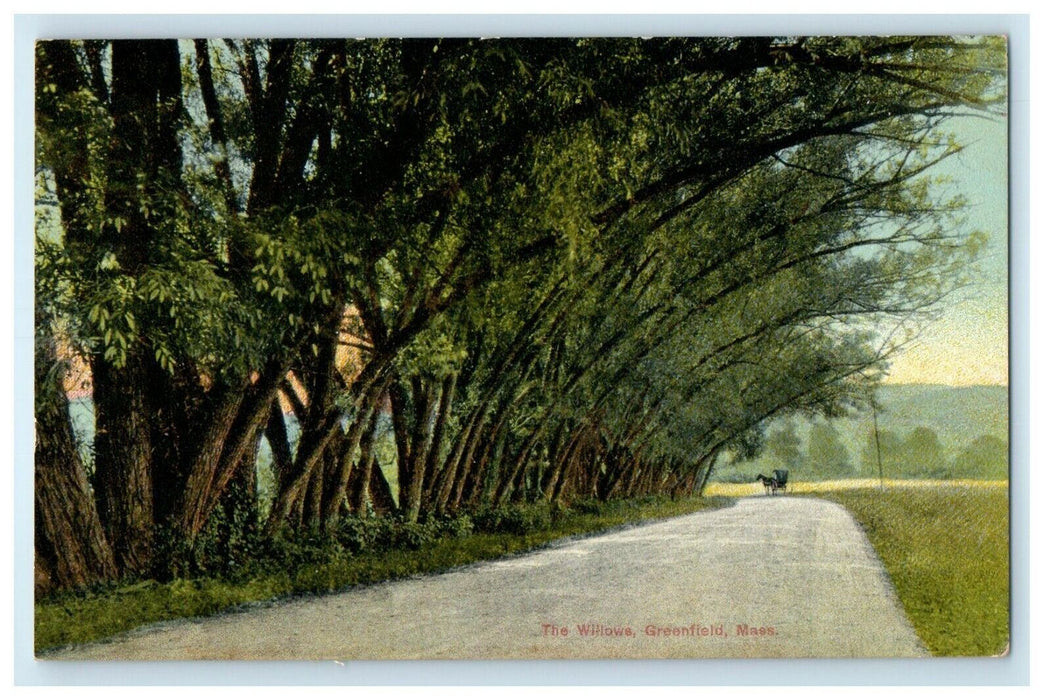 1910 The Willows Horse Carriage Greenfield Massachusetts MA Antique Postcard