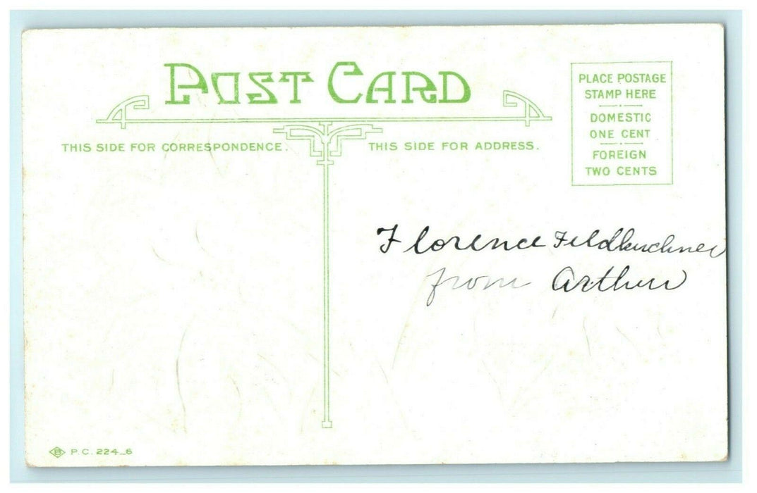 Christmas Poinsettia Flower Embossed Gold c1910 Vintage Antique Postcard