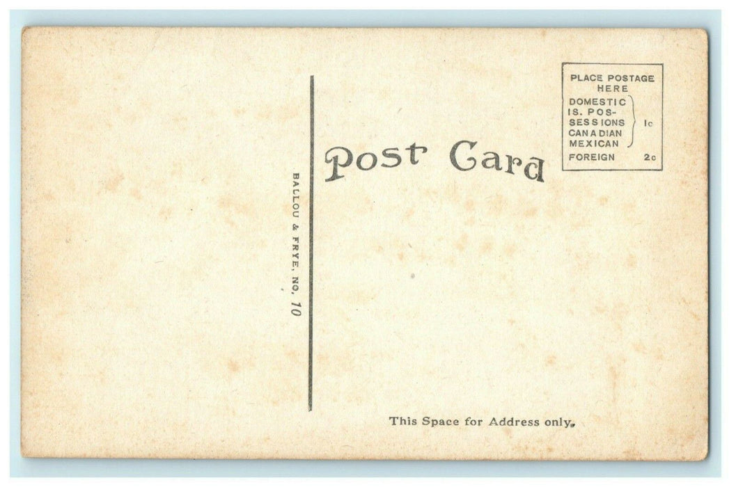 Lee County Court House Dixon Illinois c1910 Vintage Antique Postcard