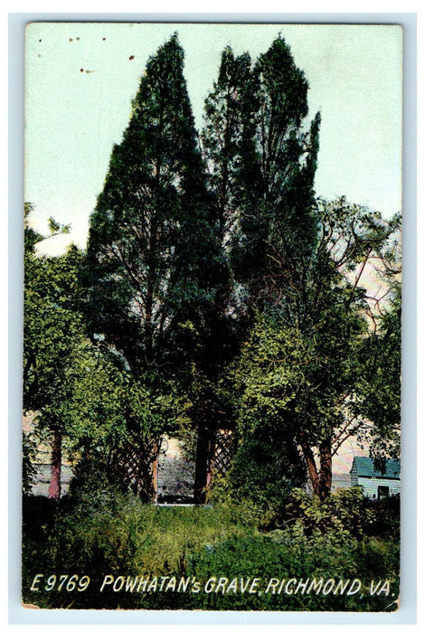 c1910 Big Trees, Powhatan's Grave, Richmond Virginia VA Unposted Postcard