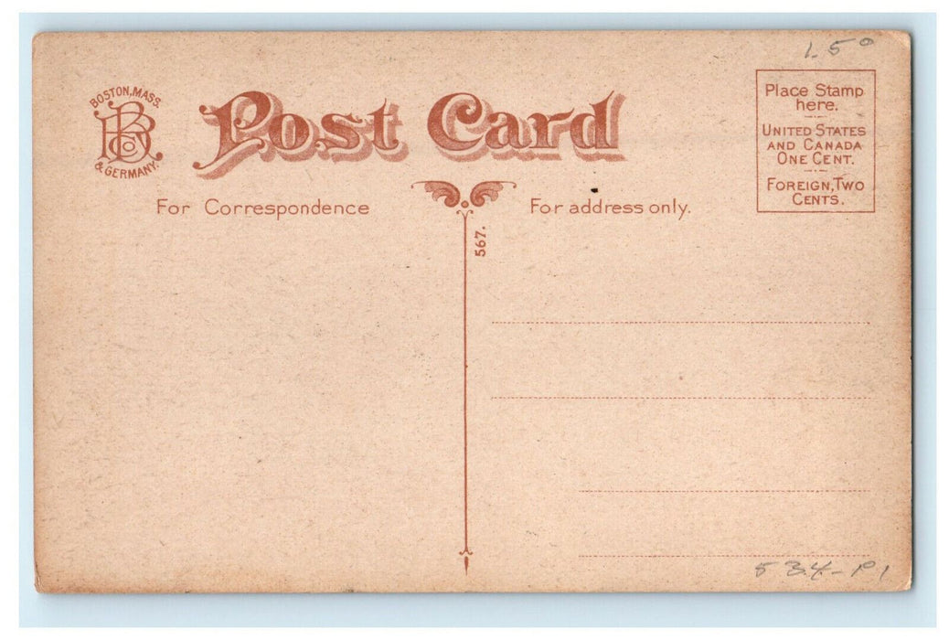 c1910s Lovers Under Washington Elm, Cambridge Massachusetts MA Postcard