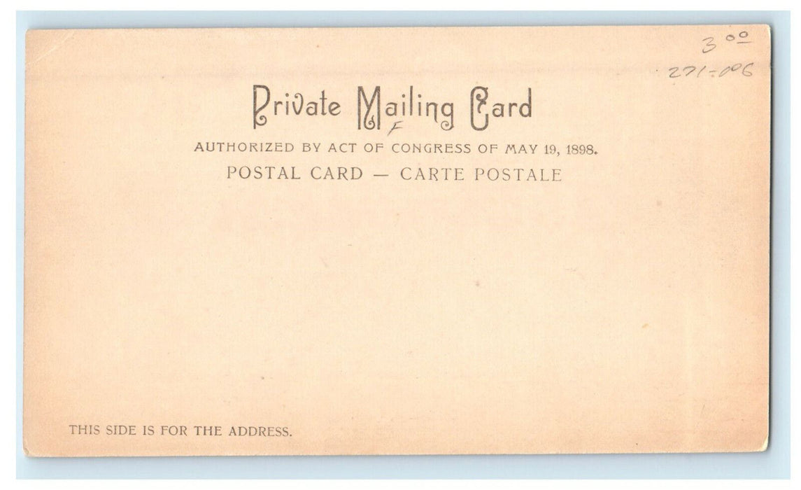 c1905s Long Fellows Home Cambridge Massachusetts MA PMC Postcard