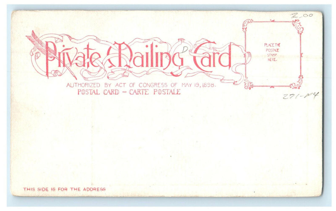 c1905s Book Printed City Hall, Cambridge Massachusetts MA Unposted Postcard