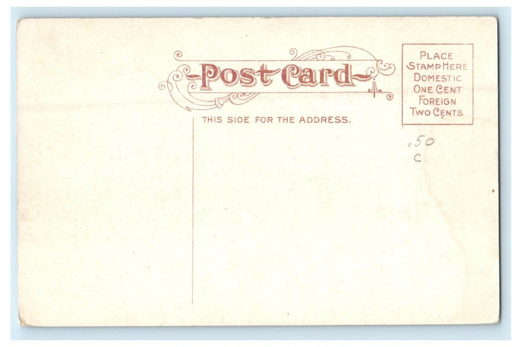 c1910 Jefferson Street Bridge South Bend Indiana IN Unposted Postcard