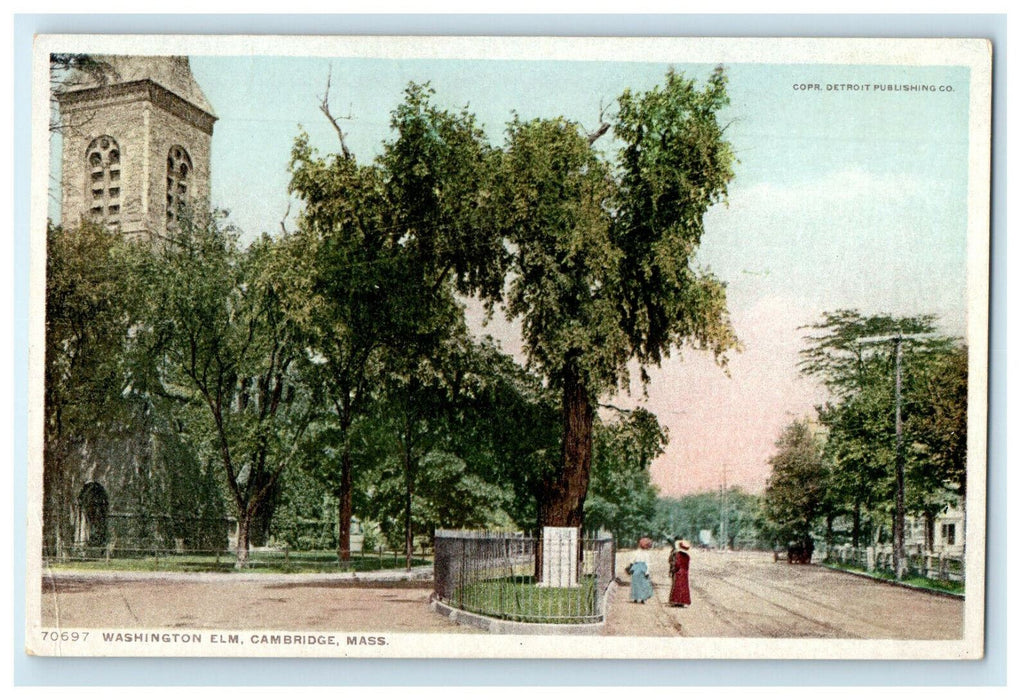 c1910s Two Women,  Washington Elm, Cambridge Massachusetts MA Phostint Postcard