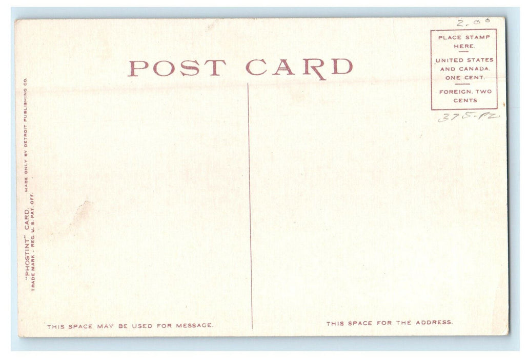c1910s Two Women,  Washington Elm, Cambridge Massachusetts MA Phostint Postcard