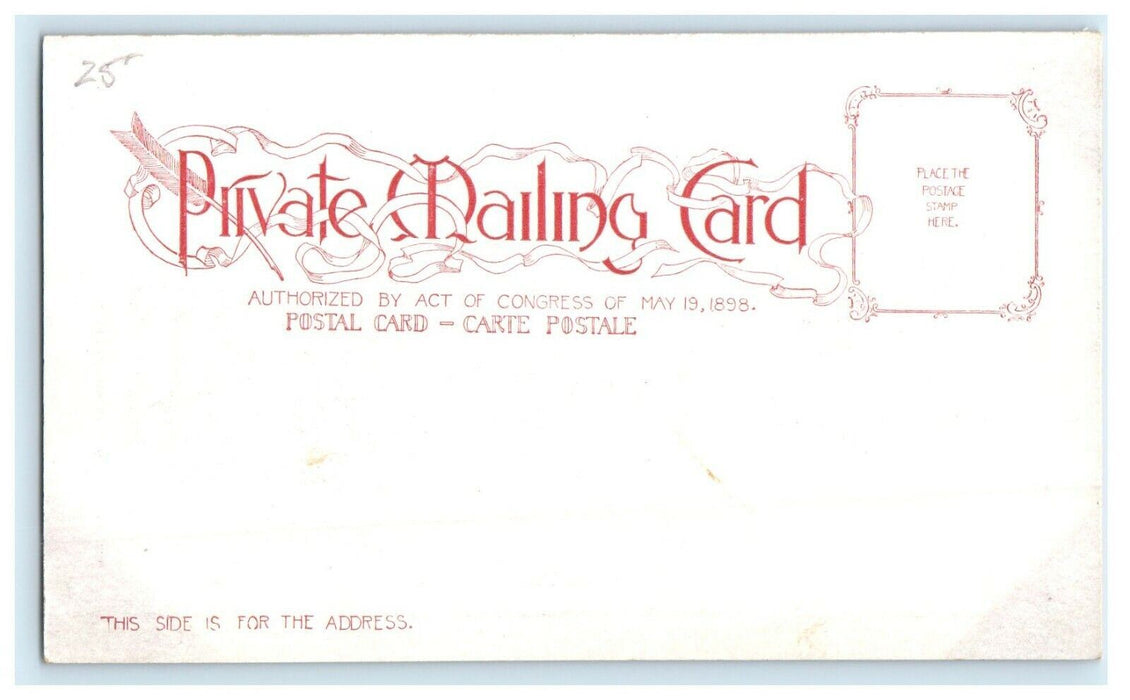 1901 William McKinley Shot Down in Temple of Music Antique Postcard