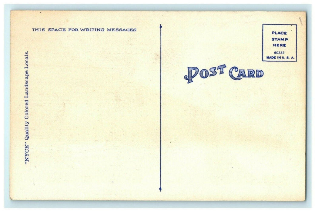 Greetings From Paw Paw Illinois Spring Lake c1940 Vintage Antique Postcard