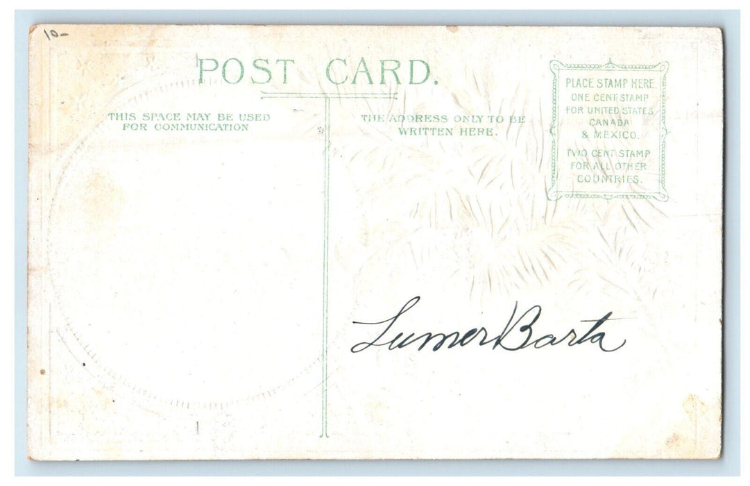 c1910's Merry Christmas Girl Umbrella Pine Cone Embossed Antique Postcard