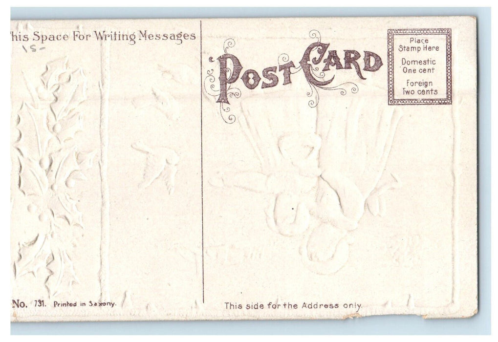 c1910's Merry Christmas Mother And Daughter Birds Holly Embossed Postcard