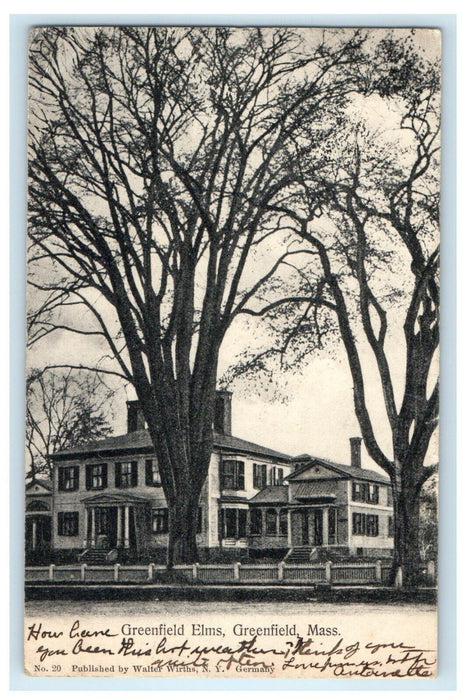 1906 Greenfield Elms, Greenfield Massachusetts MA Posted Postcard