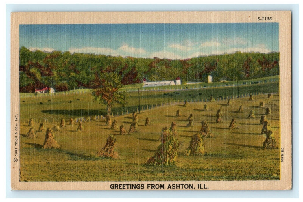Greetings From Ashton Illinois c1945 Hay Fields Vintage Antique Postcard