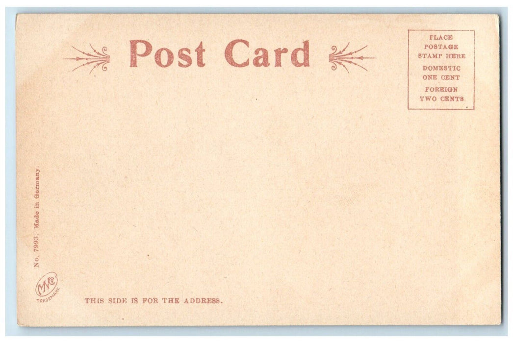 c1905 Point Of Pines Near Revere Beach Massachusetts MA Antique Postcard